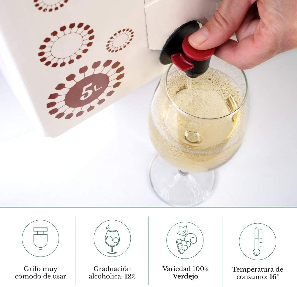 61mMZJr03BL._AC_SL1001_ Bag in Box verdejo 5 Litros Vino Blanco Verdejo seco afrutado caja de vino blanco Verdejo Paz VI