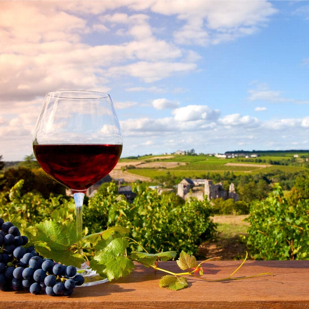 71GJyv164RL._AC_SL1001_ Bag in Box 15L Vino Tinto Recomendado